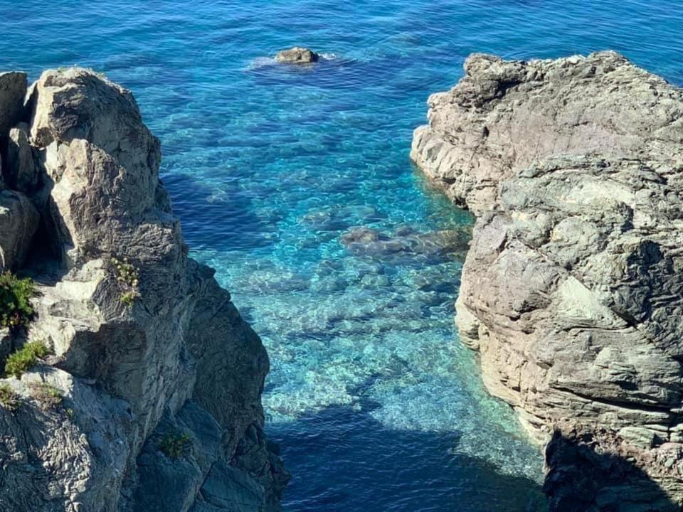 B&B Calabria Mare Falerna Exteriör bild